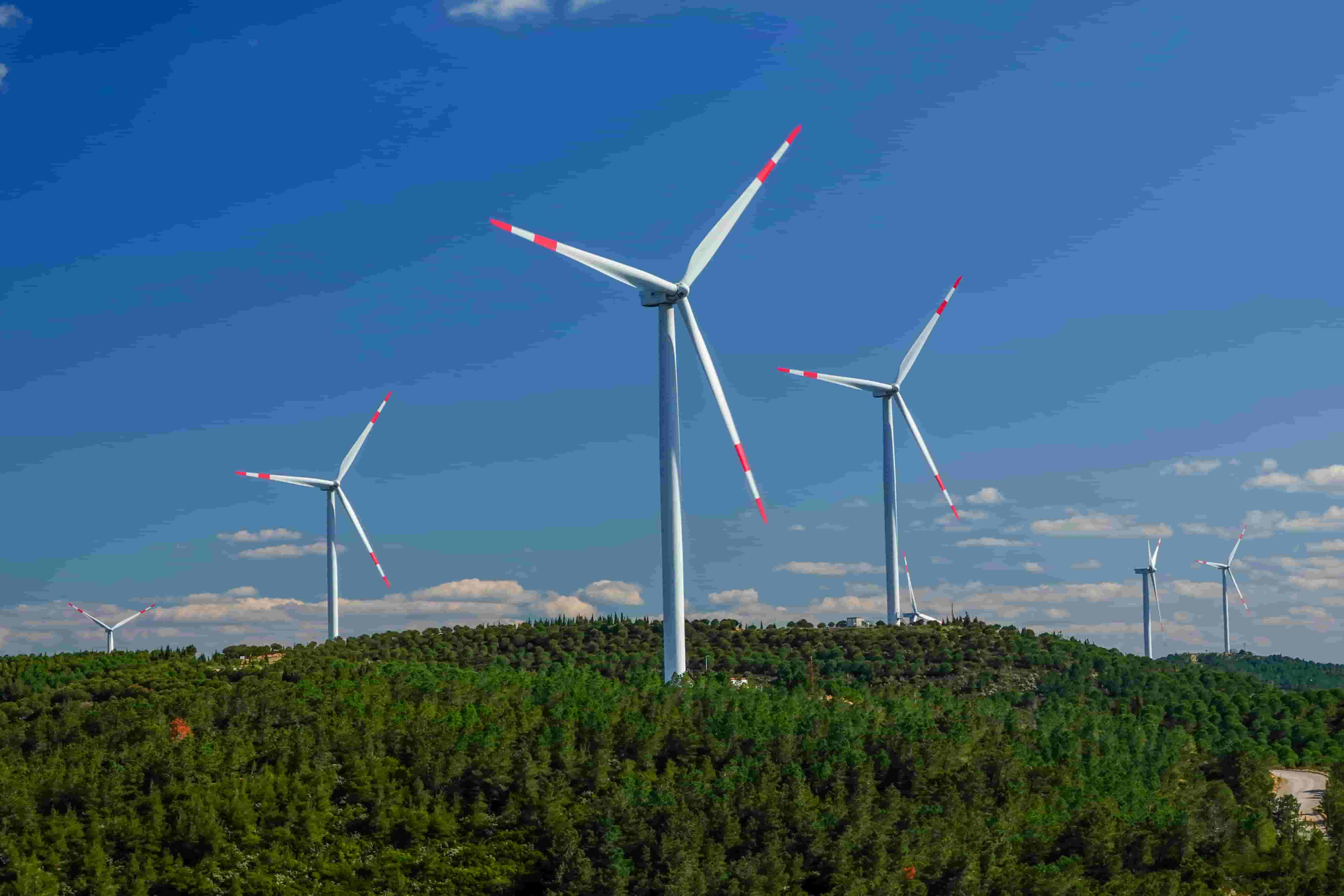 Sustainability
